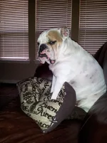 20130404_151503(1).webp