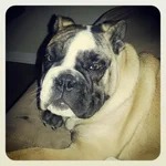 stink eye.webp