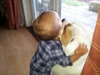 20130607_080507.webp 20130607_080507.webp