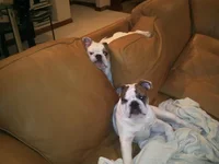 IMG_20130204_115835.webp