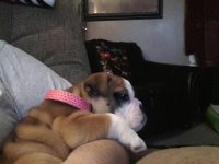 uploadfromtaptalk1362510212840.jpg uploadfromtaptalk1362510212840.jpg