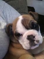 uploadfromtaptalk1362510231331.jpg uploadfromtaptalk1362510231331.jpg