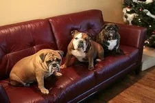 6628371795_8c6a170d41_n.webp