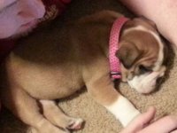 uploadfromtaptalk1362510256388.jpg uploadfromtaptalk1362510256388.jpg