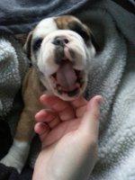 uploadfromtaptalk1362510282450.jpg uploadfromtaptalk1362510282450.jpg