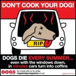 Don't Cook Your Dog.jpg