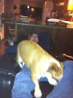 ImageUploadedByTapatalk1362535557.138809.webp