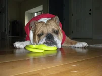 DSCN4100.webp