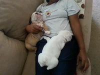462.webp