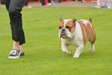 DSC_0256.webp