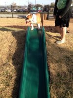 Karly meets the slide.jpg Karly meets the slide.jpg