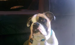 IMAG4732.webp