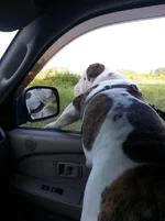 20130610_075221_zpse6df8909.webp