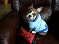 20130306_103047.jpg
