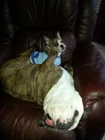 20130306_164039.webp