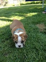 east coast trip 2013 006.webp