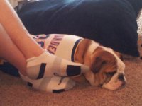 20130303_165314.jpg 20130303_165314.jpg