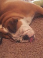 20130304_165948.jpg 20130304_165948.jpg
