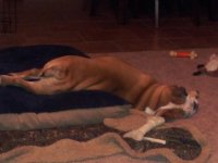 20130306_193044.jpg 20130306_193044.jpg