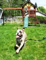 Kaida at 1 yr.webp