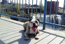 Kaida at the Falls.webp