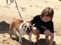 image.webp