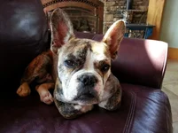 20130506_144701.webp
