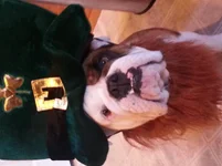 20130307_165149.webp