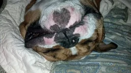 IMG_20130704_231140_758.webp