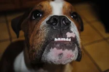 Ike_face_2.webp