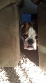 20130507_193335.jpg 20130507_193335.jpg