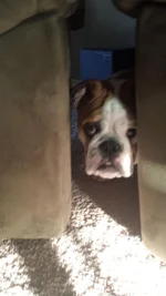 20130507_193335.webp