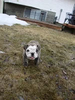 April 20, 2013 (18).webp