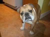 DSCN4176.webp