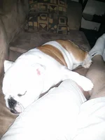 06 01 13 Dont go anywhere.webp