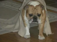 DSCN4177.webp