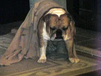 DSCN4178.webp