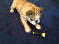 IMG_1605.jpg IMG_1605.jpg