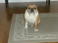 DSCN4179.webp