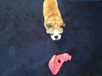 IMG_1596.jpg IMG_1596.jpg