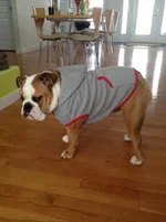 T Grey hoodie3.webp T Grey hoodie3.webp