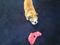 IMG_1597.jpg IMG_1597.jpg