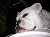 06 03 13 So sleepy.webp
