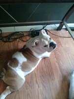 06 07 13 Not doing anything.webp