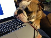 IMG_1611.jpg IMG_1611.jpg