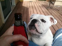 06 09 13 Want it.webp
