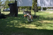 DSC_2042.webp