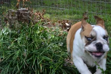 DSC_2049.webp