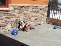 20130308_110708.jpg
