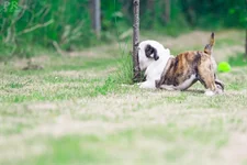 IMG_3814-3.webp IMG_3814-3.webp